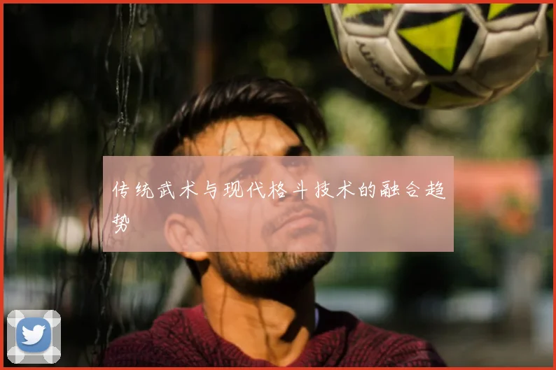 传统武术与现代格斗技术的融合趋势
