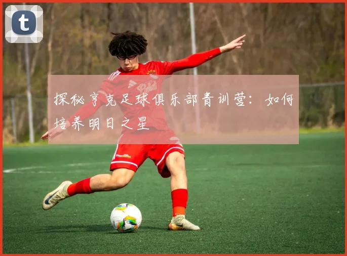 探秘亨克足球俱乐部青训营:如何培养明日之星