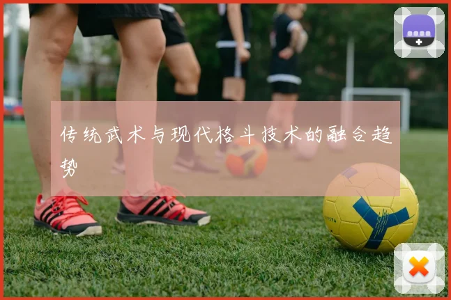 传统武术与现代格斗技术的融合趋势