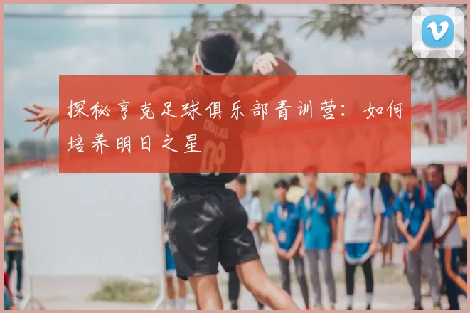 探秘亨克足球俱乐部青训营:如何培养明日之星